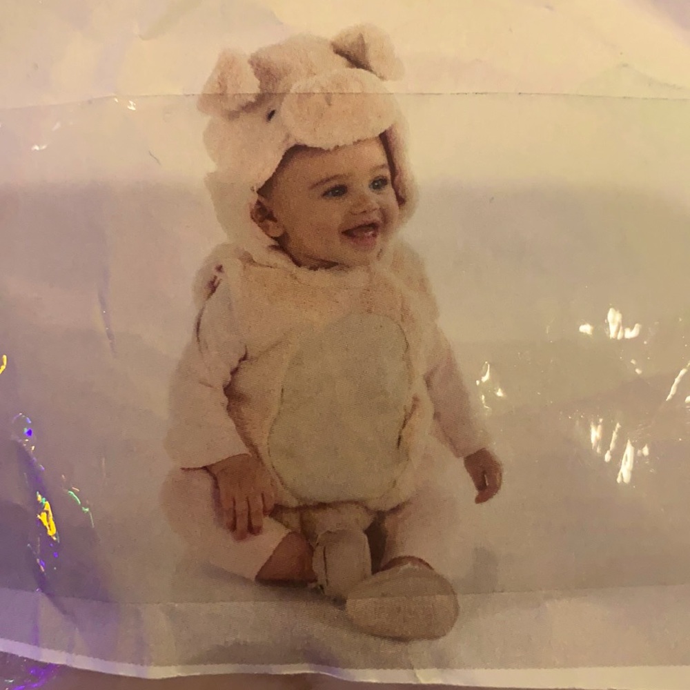 Piglet baby costume 6-9 months Pottery Barn